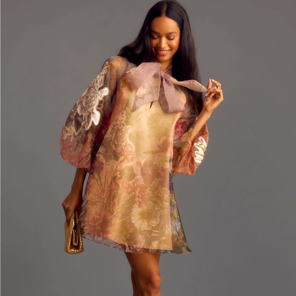 Anthropologie pankaj nidhi organza long sleeve dress